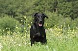 BEAUCERON 023